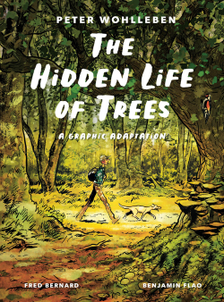 092624 Hidden Life of Trees - Cover